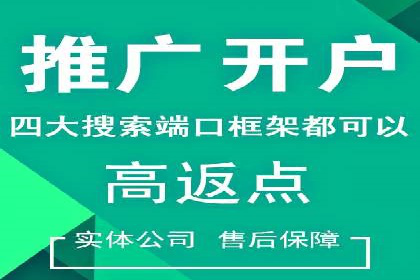 SEM推广策略：成功案例分享与启示